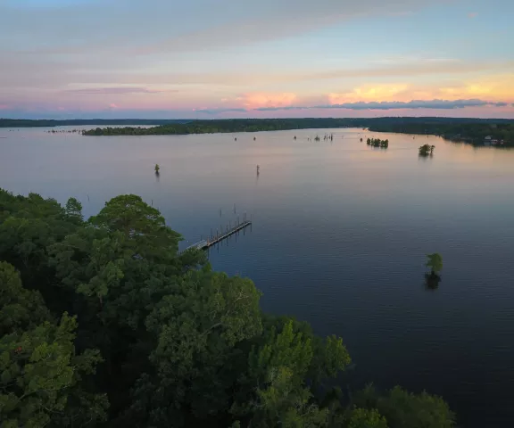 Lake D'Arbonne