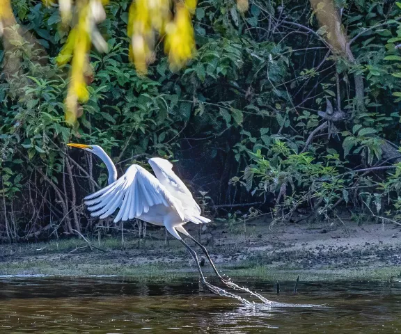 North Toledo Bend State Park