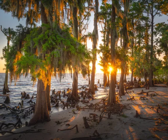 Fontainebleau State Park