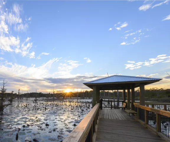 Black Bayou National Wildlife Refuge - Photo by Larry Lynn