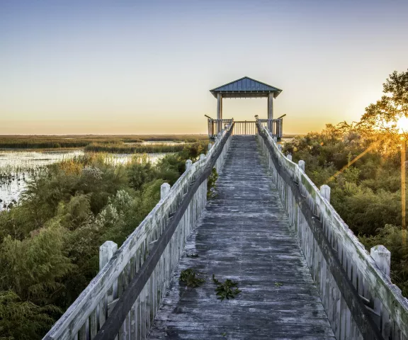 Lacassine National Wildlife Refuge - Photo by Tim Mueller