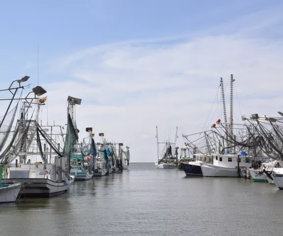 Grand Isle Port Commission - Photo by Paul Christiansen