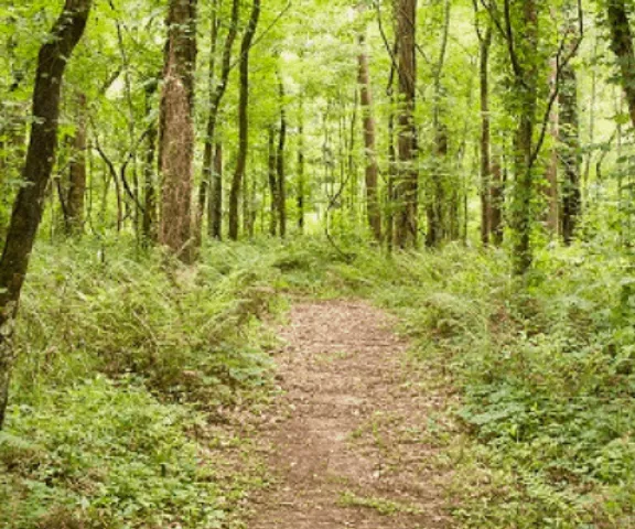 Indian Bayou National Recreation Area - Photo by St. Landry Parish