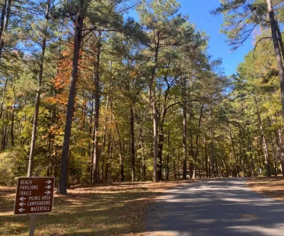 Lincoln Park Park - Photo by Experience Ruston