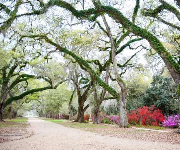 Rosedown Plantation State Historic Site